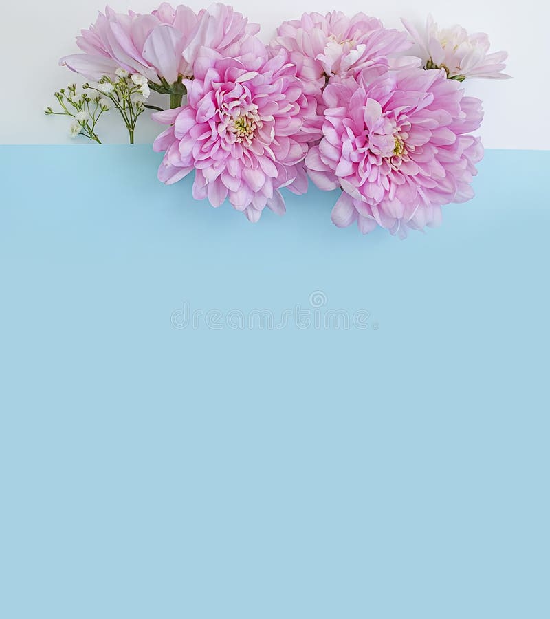 Beautiful Flower Fresh Peonies Romance Blossom Bridal Card a Blue ...