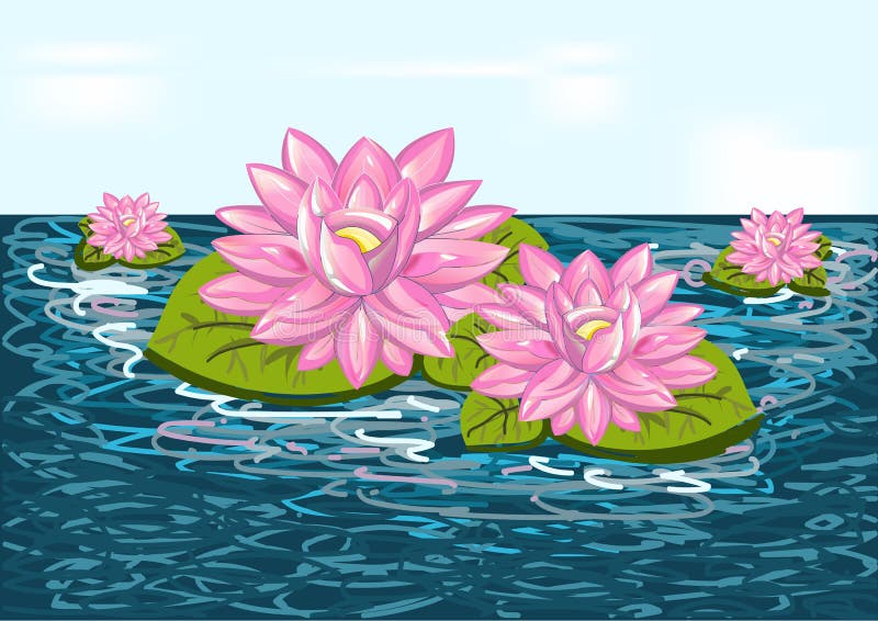 Beautiful flower lily on blue water - vector illustration royalty free illustration Beautiful flower lily on blue water - vector illustration royalty free illustration