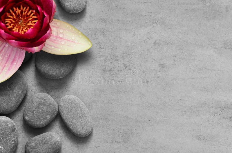 Nhìn vào Sen hoa lan và đá Zen Spa trên nền xám, bạn sẽ cảm thấy bình yên và thư thái. Ánh sáng nhẹ nhàng chiếu lên các chi tiết tinh tế của spa, tạo nên một không gian đầy mê hoặc. Hãy xem hình ảnh này để cảm nhận được sự thanh tịnh của Zen Spa. 