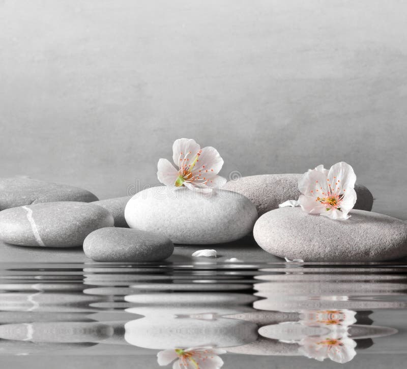 571 Flower Zen Background Picture My