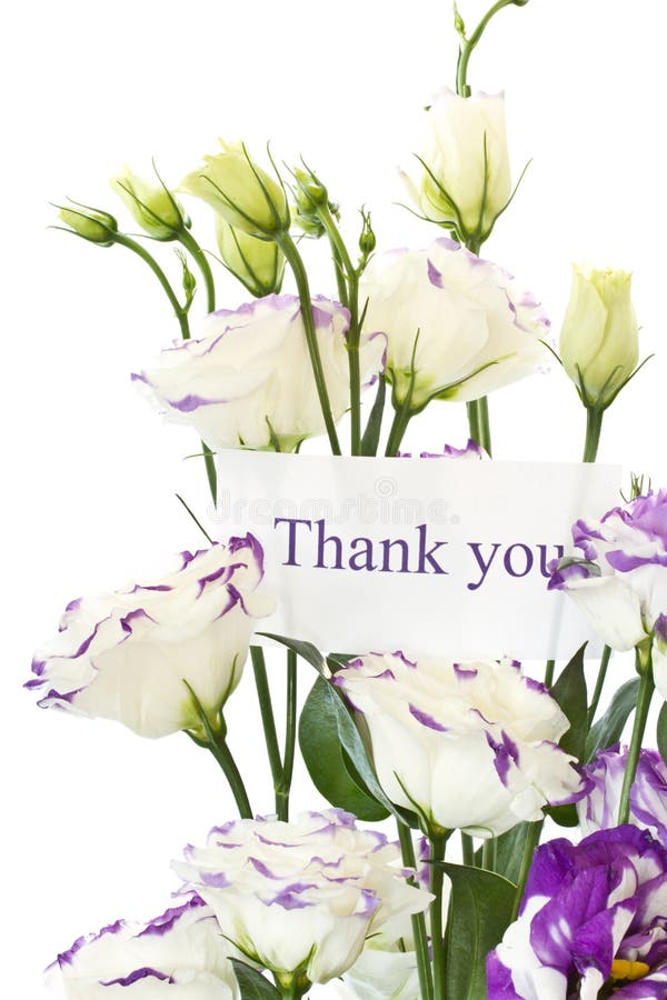 Beautiful flowers stock photo