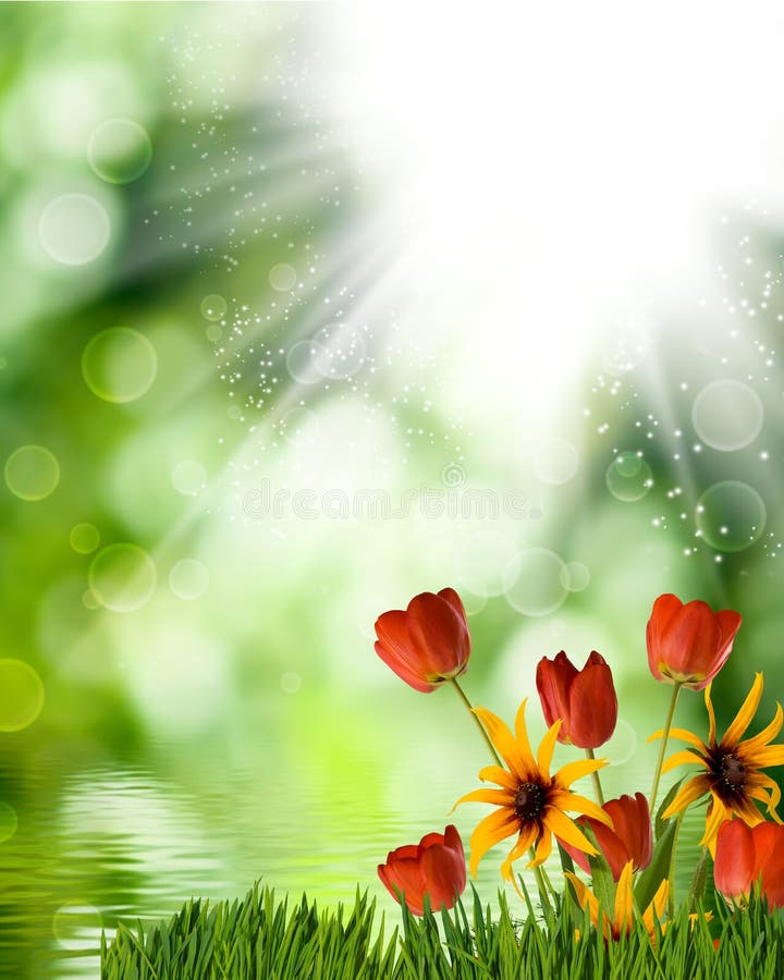 Beautiful Flowers on Abstract Blurred Green Background Stock Illustration Illustration of