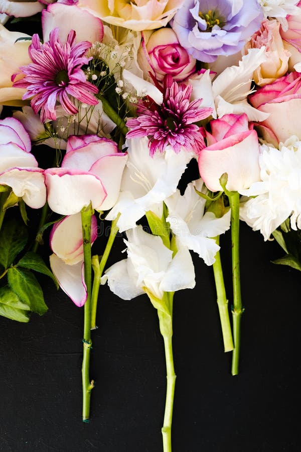 Beautiful Flowers Assortment on Dark Background Stock Photo Image of