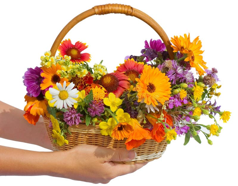 Beautiful flowers in a basket