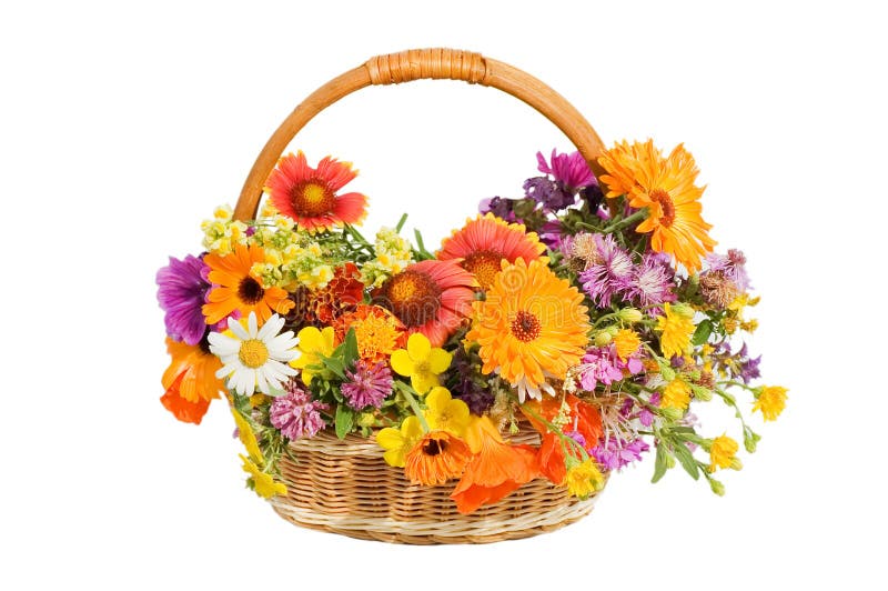 Beautiful flowers in a basket isolated on white