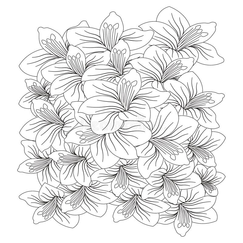 pencil line art design flower coloring page with beautiful sketch for kids  9002246 Vector Art at Vecteezy