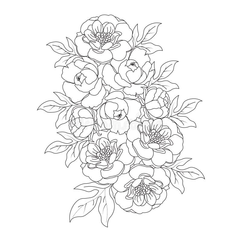 https://thumbs.dreamstime.com/b/beautiful-flowers-coloring-page-pencil-sketch-drawing-detailed-vector-graphic-line-art-flower-decoration-doodle-253871604.jpg