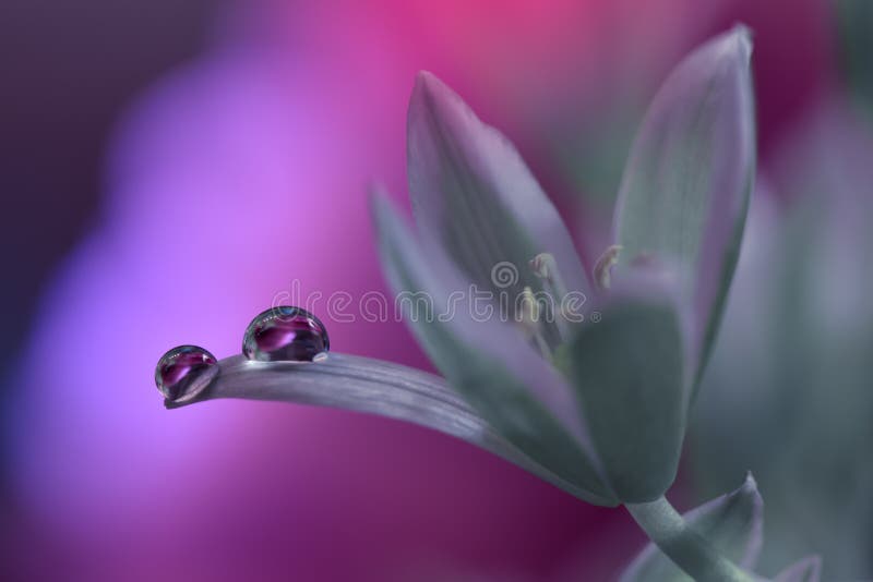 Abstracto flor a Agua gotas.