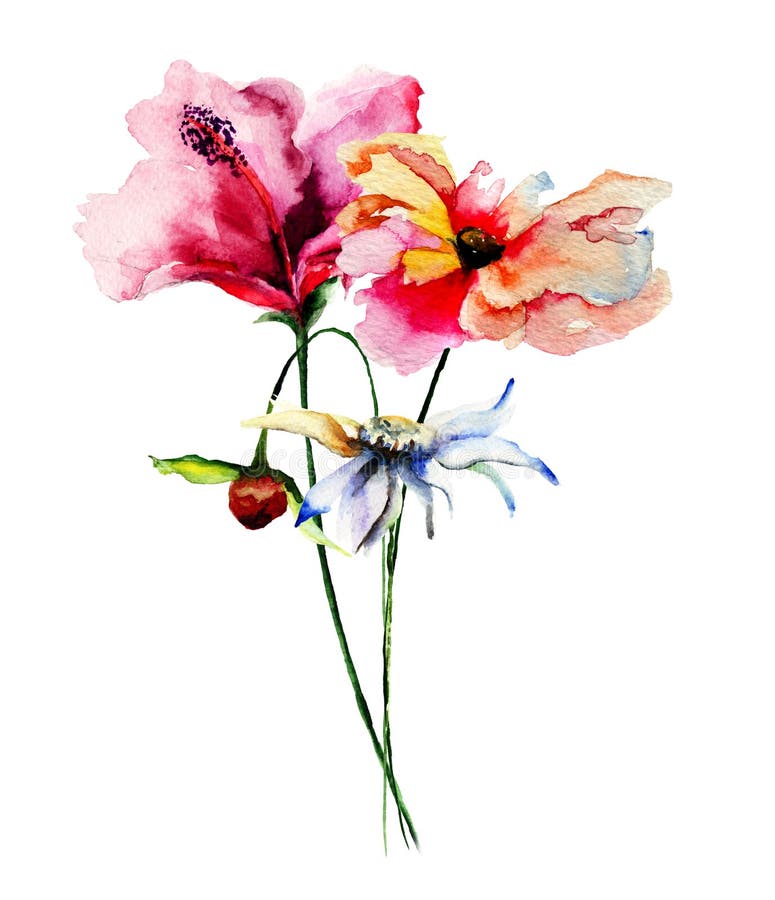 Beautiful flowers stock illustration. Illustration of blossom - 25223235