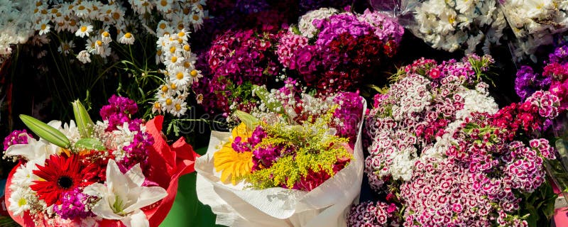 Beautiful flowers of various types royalty free stock image Beautiful flowers of various types royalty free stock image