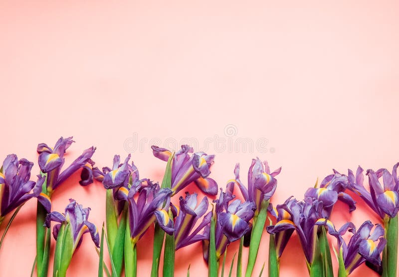 Beautiful flowers on a wood background, celebration, greeting card, space for text.  stock photos
