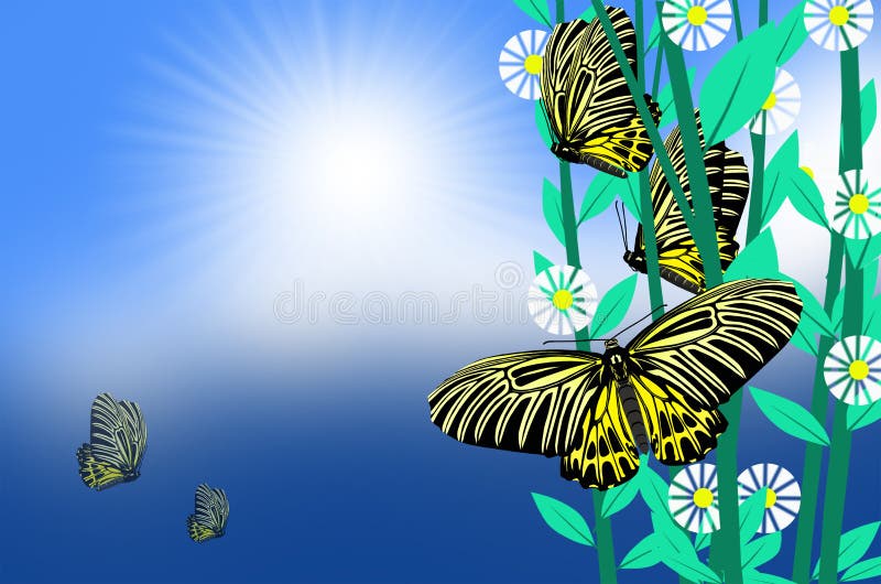 Beautiful birdwing butterflies with white flowers vector illustration Beautiful birdwing butterflies with white flowers vector illustration