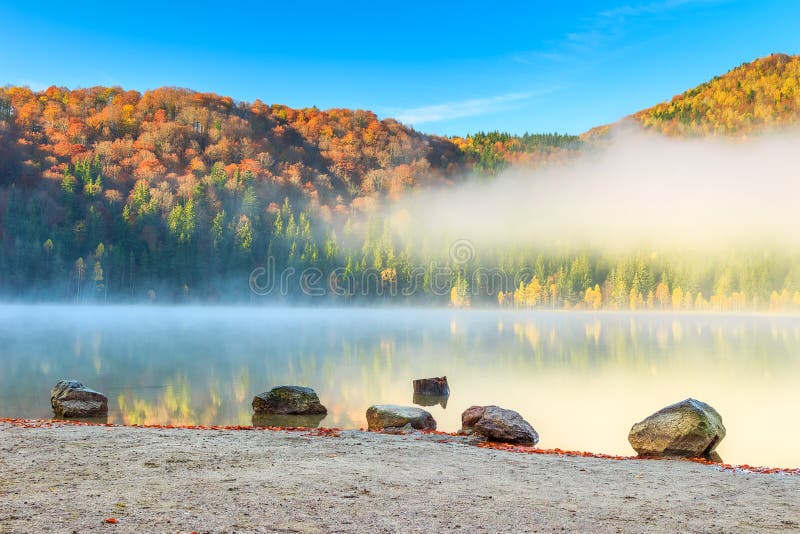 Beautiful foggy autumn landscape,Saint Anna Lake,Transylvania,Romania. Wonderful misty autumn morning,Saint Ana Lake,Transylvania,Romania,Europe stock photography Beautiful foggy autumn landscape,Saint Anna Lake,Transylvania,Romania. Wonderful misty autumn morning,Saint Ana Lake,Transylvania,Romania,Europe stock photography