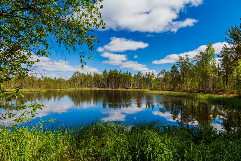 Beautiful forest lake with clouds. Finland