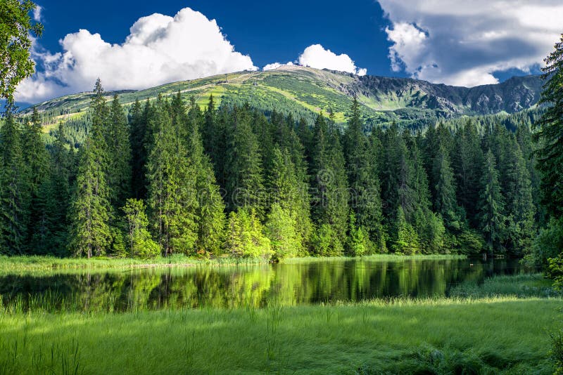 Beautiful forest lake and green trees around with mountains at background. Tarn Vrbicke pleso in Low Tatras mountains in Slovakia