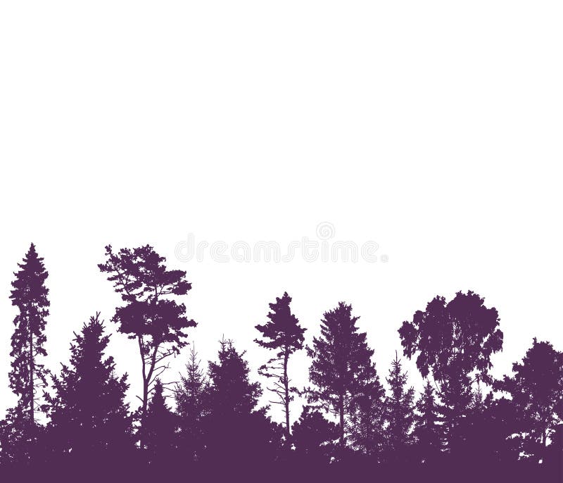 Beautiful forest, silhouette of firs, pines and different deciduous trees. Landscape. Vector illustration royalty free illustration Beautiful forest, silhouette of firs, pines and different deciduous trees. Landscape. Vector illustration royalty free illustration