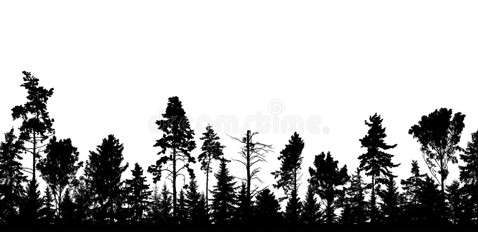Beautiful forest, silhouette of firs, pines and different deciduous trees. Vector illustration stock illustration Beautiful forest, silhouette of firs, pines and different deciduous trees. Vector illustration stock illustration