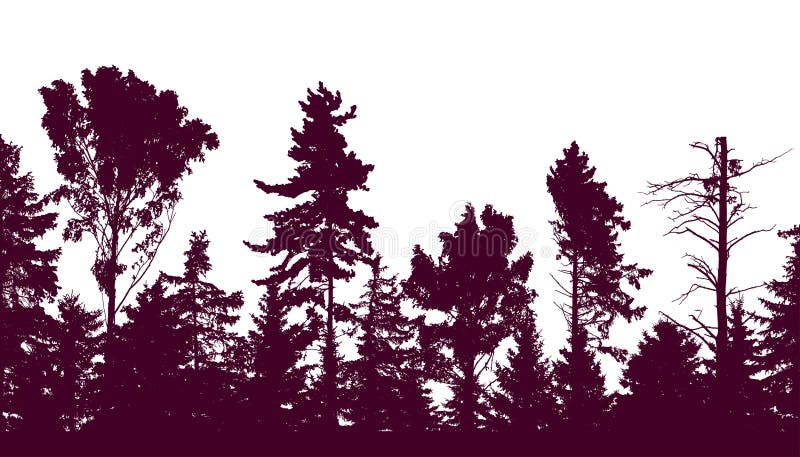 Beautiful forest, silhouette of firs, pines and different deciduous trees. Vector illustration royalty free illustration Beautiful forest, silhouette of firs, pines and different deciduous trees. Vector illustration royalty free illustration