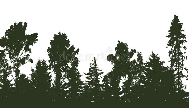 Beautiful forest, silhouette of firs, pines and different deciduous trees. Vector illustration royalty free illustration Beautiful forest, silhouette of firs, pines and different deciduous trees. Vector illustration royalty free illustration
