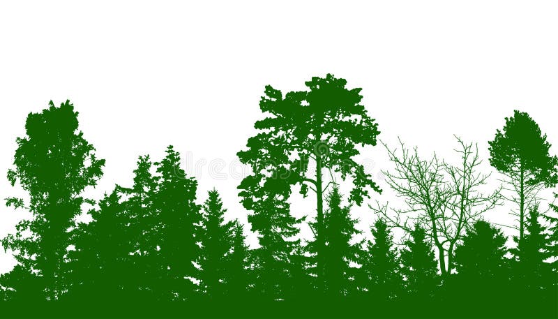 Beautiful forest, silhouette of firs, pines and different deciduous trees. Vector illustration royalty free illustration Beautiful forest, silhouette of firs, pines and different deciduous trees. Vector illustration royalty free illustration