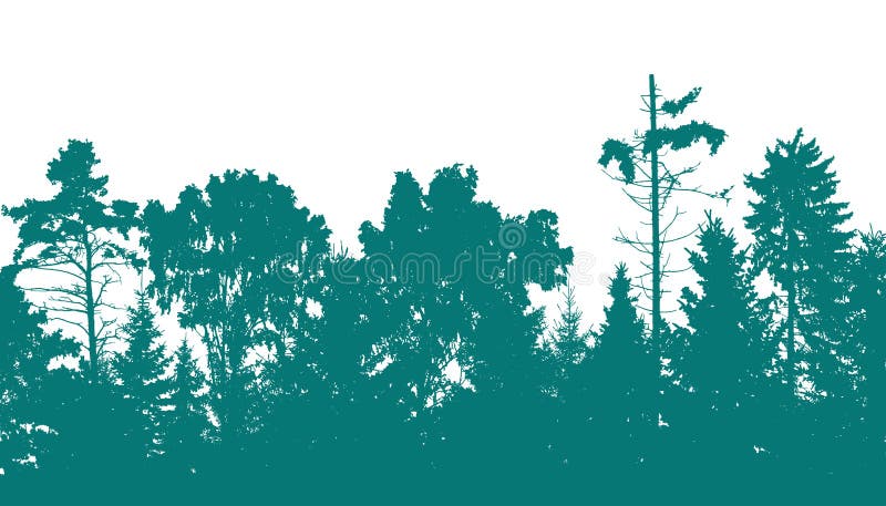 Beautiful forest, silhouette of firs, pines and different deciduous trees. Vector illustration vector illustration Beautiful forest, silhouette of firs, pines and different deciduous trees. Vector illustration vector illustration