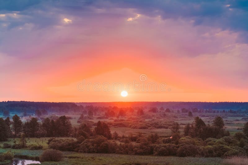 Beautiful Forest On Sunrise. Dramatic Sky With