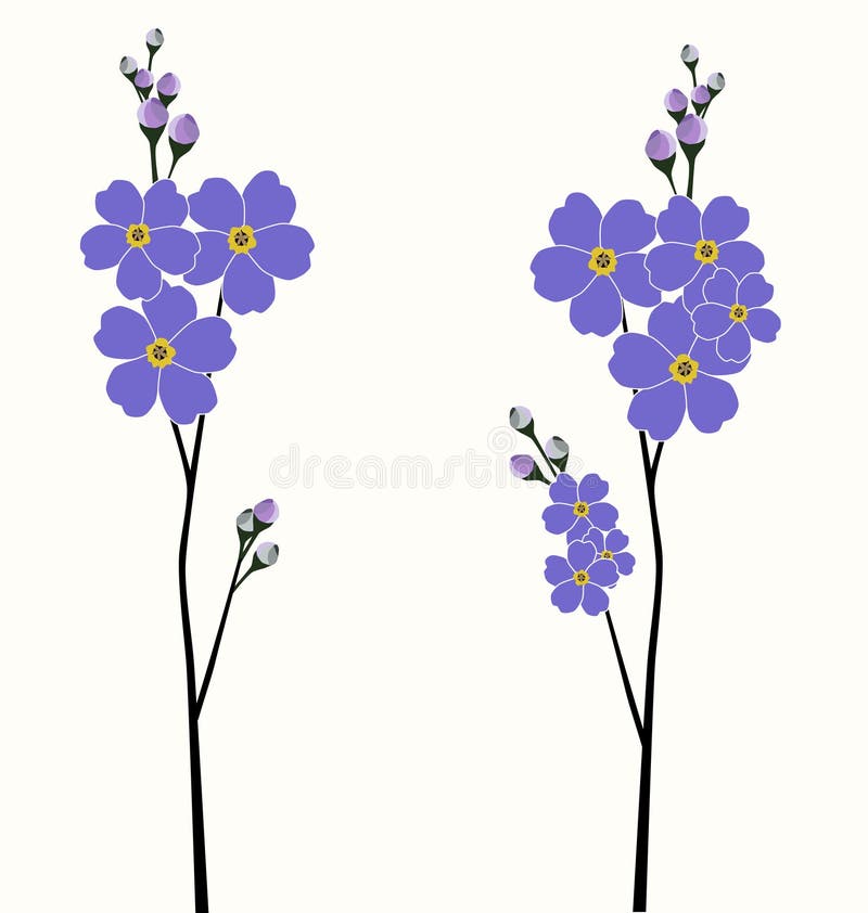 Forget Me Not Stock Illustrations 3 228 Forget Me Not Stock Illustrations Vectors Clipart Dreamstime