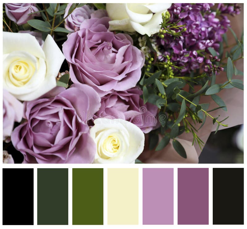 Beautiful Fresh Flowers and Color Palette. Collage Stock Image Image of group, collage 261647011
