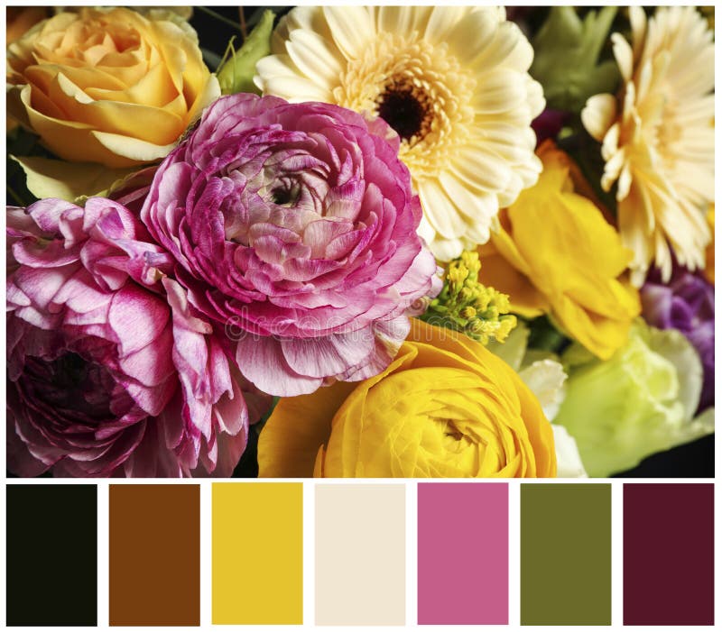 Beautiful Fresh Flowers and Color Palette. Collage Stock Photo Image