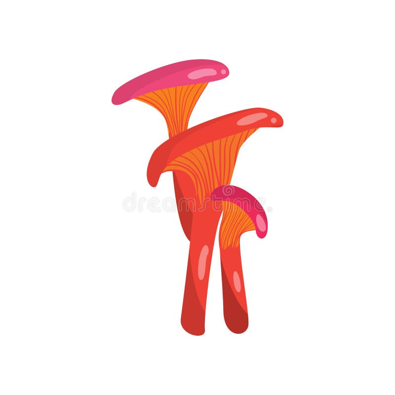 Beautiful fresh mushroom of unusual shape. Colored mushroom for cooking mushroom soup and other dishes royalty free illustration Beautiful fresh mushroom of unusual shape. Colored mushroom for cooking mushroom soup and other dishes royalty free illustration