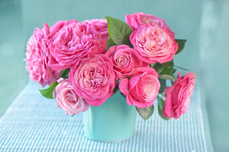 Beautiful fresh pink roses stock image