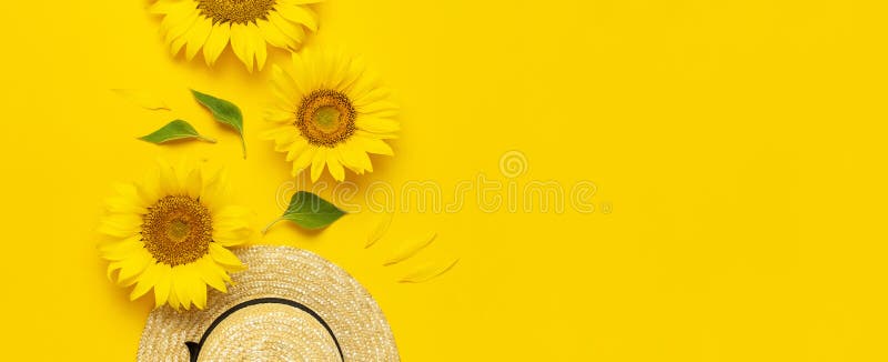 Beautiful fresh sunflowers, straw hat on bright yellow background. Flat lay top view copy space. Autumn or summer Concept, harvest stock photos Beautiful fresh sunflowers, straw hat on bright yellow background. Flat lay top view copy space. Autumn or summer Concept, harvest stock photos