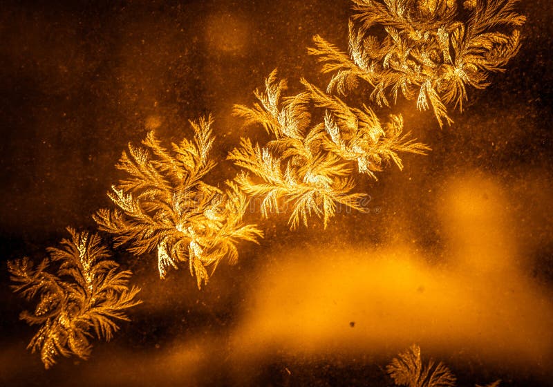 Beautiful Frosty Natural Pattern on Winter Window Stock Photo - Image ...