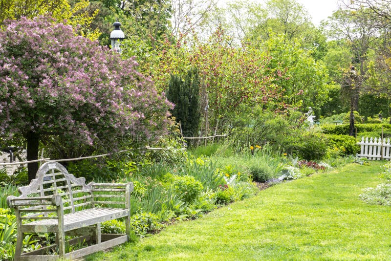 Beautiful garden area with green hedge. Backyard landscape or a park with fence, trees and blossoming plants