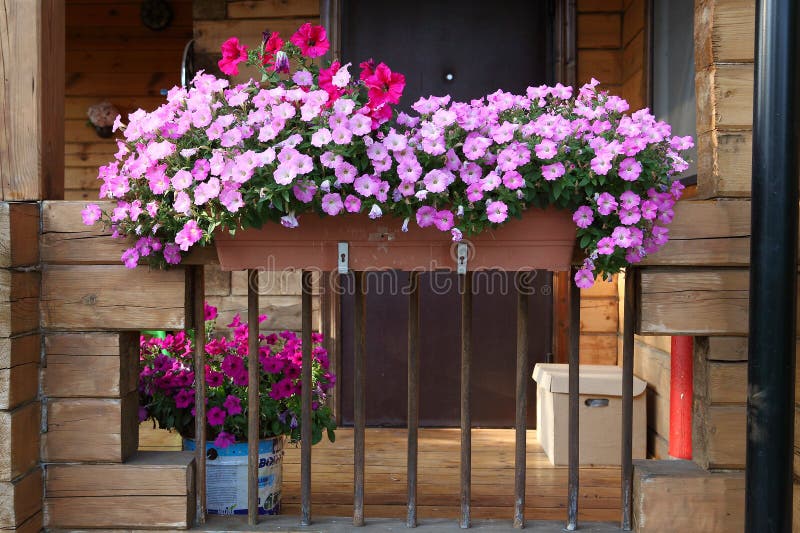 204 English Garden Flower Porch Stock Photos - Free & Royalty-Free ...