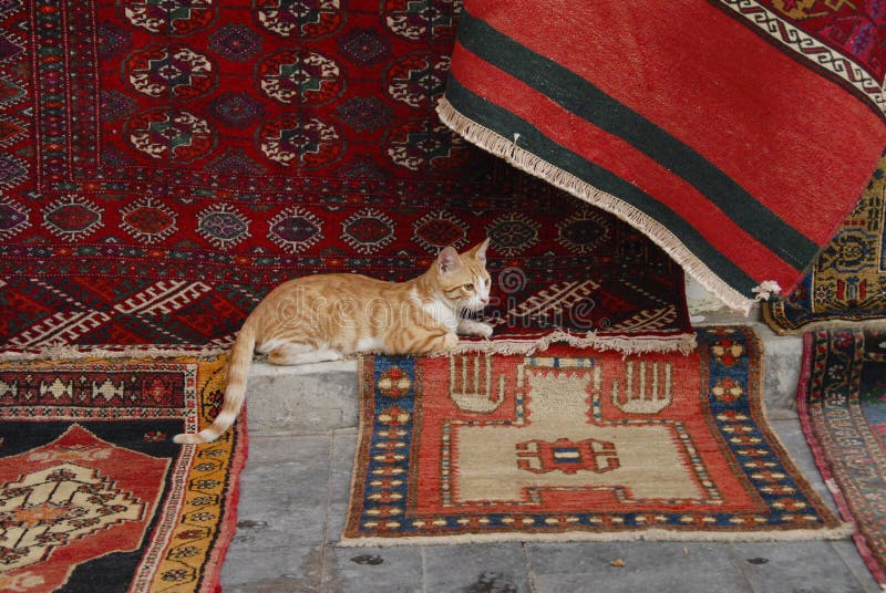A Beautiful Ginger Cat is Lying on Bright National Carpets in an Oriental Bazaar. Stock Image
