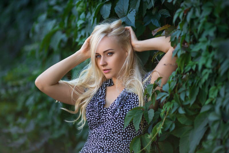 Woman beauty portrait in the light of setting sun royalty free stock photo Woman beauty portrait in the light of setting sun royalty free stock photo
