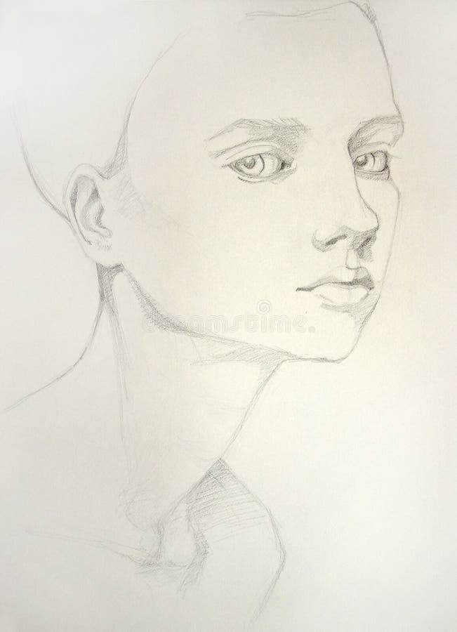 Beautiful Female Body Pencil Drawing Stock Illustrations â 147 Beautiful Female Body Pencil