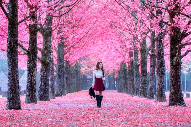 Beautiful Girl with Pink Leaves in Nami Island.