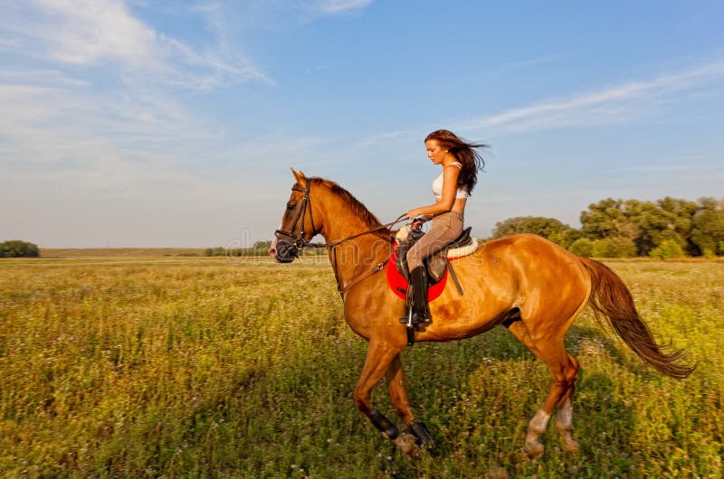 Beautiful Girl Riding a Horse Stock Image Image of equine