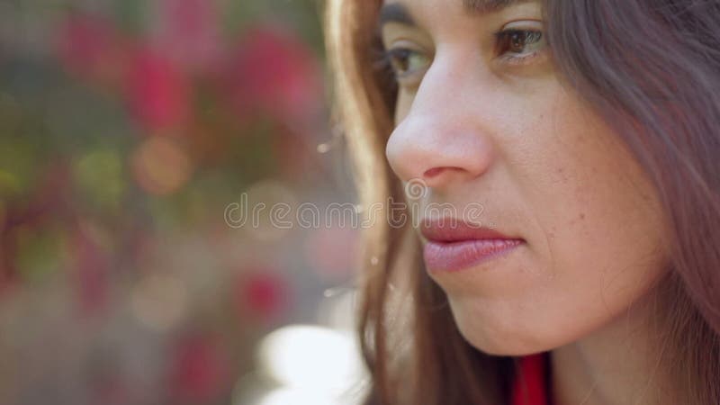 Beautiful girl walks in the park stock footage