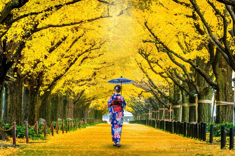 Beautiful girl wearing japanese traditional kimono at row of yellow ginkgo tree in autumn. Autumn park in Tokyo, Japan.