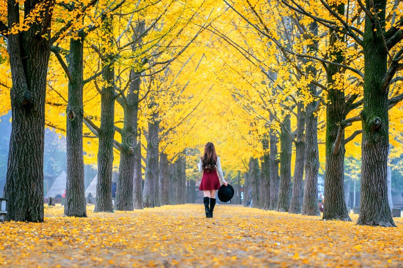 Beautiful Girl with Yellow Leaves in Nami Island, Korea.