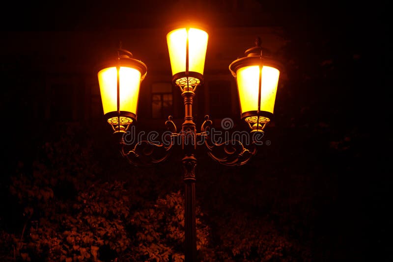 Beautiful Glowing Street Lamp in the Park at Night Stock Image Image