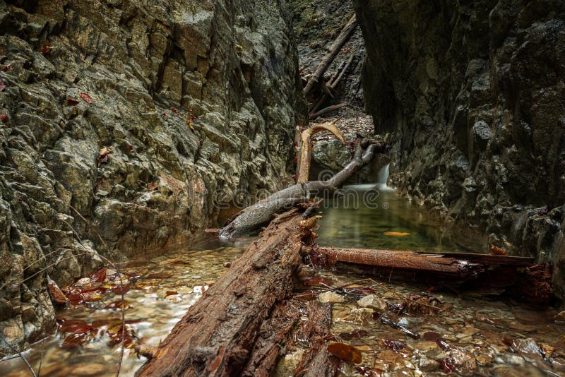 Krásná roklina s vodou a stromy ve vodě v Národním parku Slovenský ráj