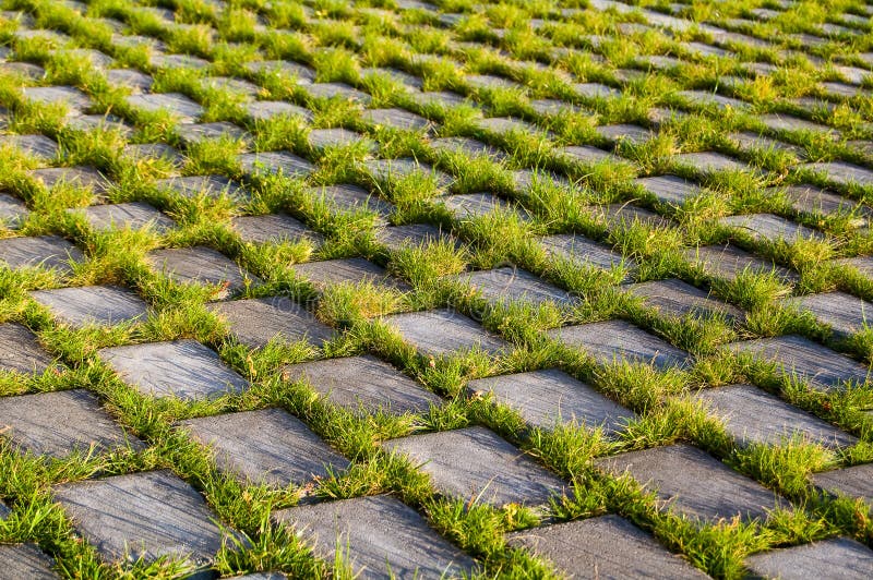 Beautiful Grass  And Beton  Texture Stock Image Image of 