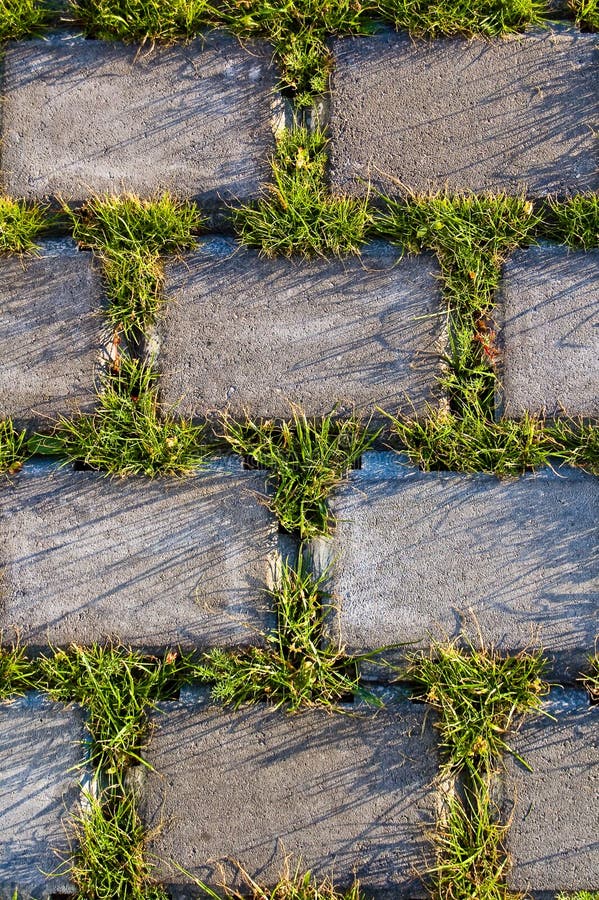 Beautiful Grass  And Beton  Texture Stock Photo Image of 