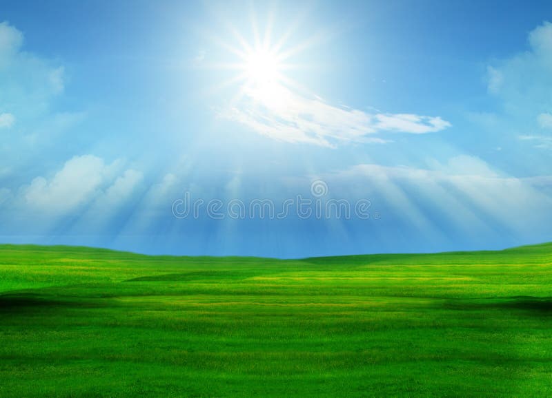 Beautiful grass field and sun shining on blue sky