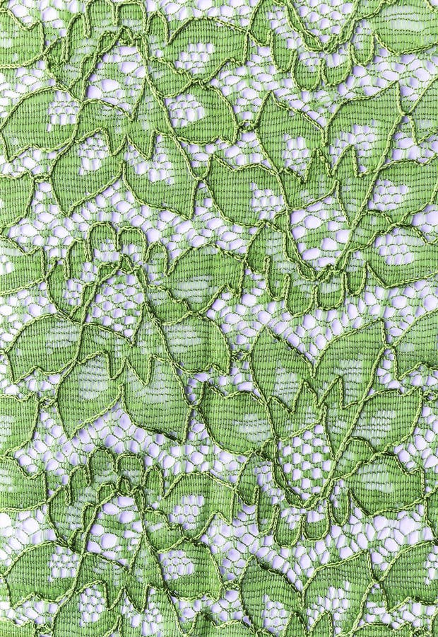 Beautiful Green Lace on the Fabric Stock Image Image of abstract