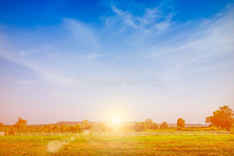 Beautiful green meadow with blue sky and sun background. stock image Beautiful green meadow with blue sky and sun background. stock image